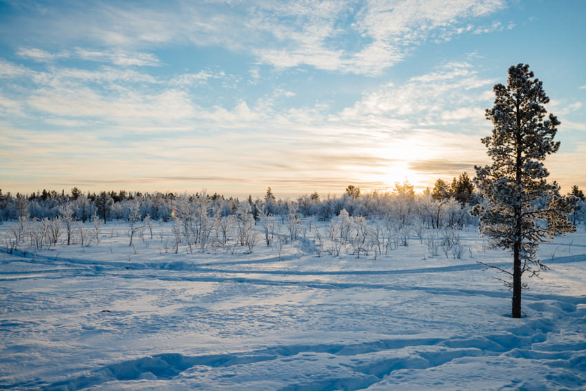 Lapland zweden wildernis