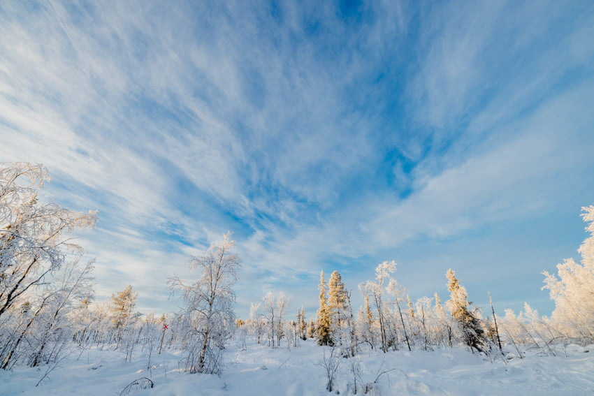 Lapland view